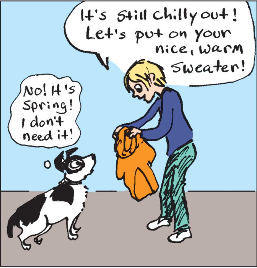 Dog breed OCR: No! It's Spring! I don't need it! It's still chilly out! Let's put on your nicewarm Sweater! No ! It's Spring ! I don't need it ! It's still chilly out ! Let's put on your nicewarm Sweater !