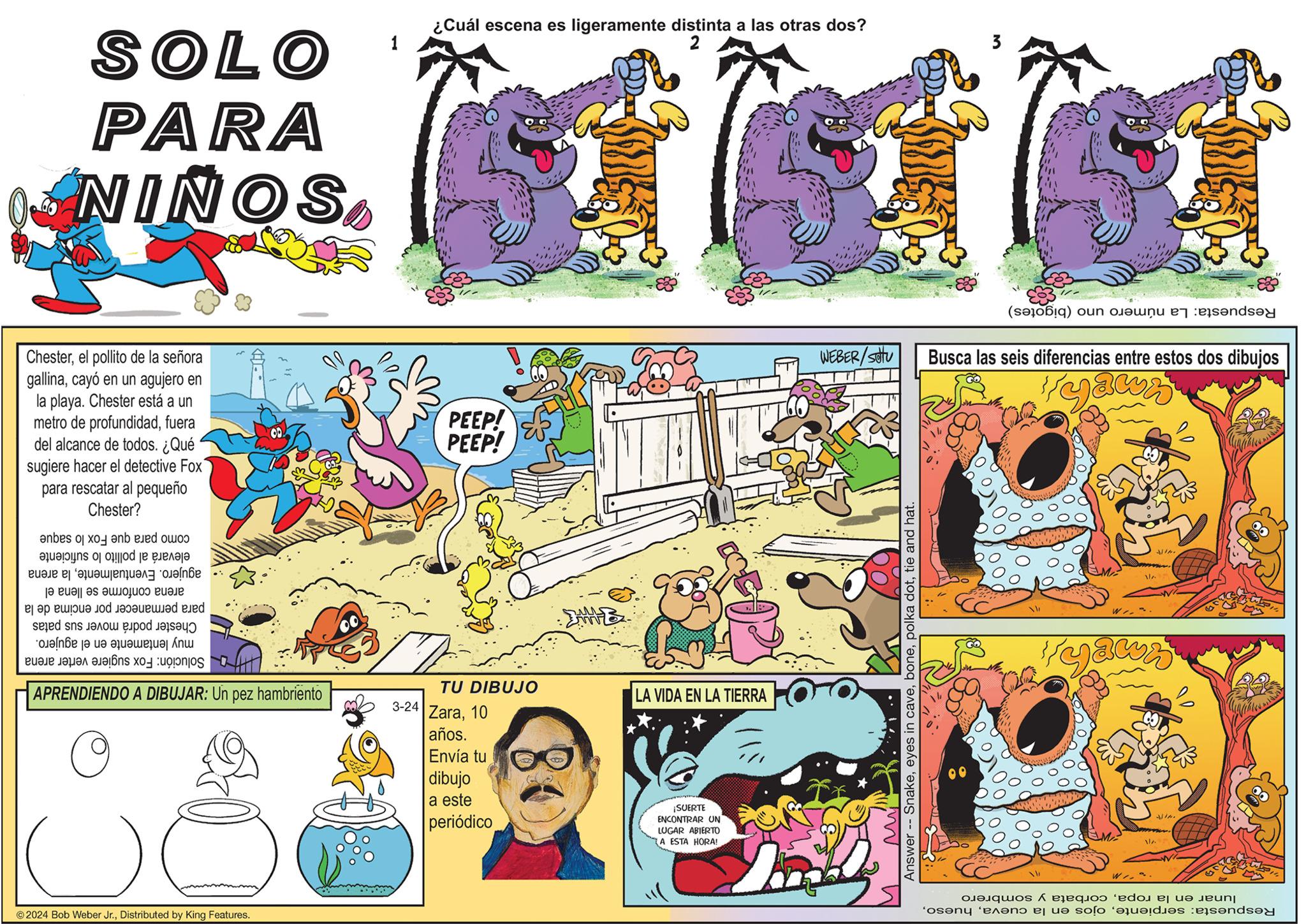 Illustration OCR: SOLO PARA NIÑOS Chesterel pollito de la señora gallinacayó en un agujero en la playa. Chester está a un metro de profundidadfuera del alcance de todos. ¿Qué sugiere hacer el detective Fox para rescatar al pequeño Chester? elevará al pollito lo suficiente agujero. Eventualmentela arena arena conforme se llena el para permanecer por encima de la Chester podrá mover sus patas muy lentamente en el agujero. Solución: Fox sugiere verter arena como para que Fox lo saque ¿Cuál escena es ligeramente distinta a las otras dos? 1 3 PEEP! PEEP! WE APRENDIENDO A DIBUJAR: Un pez hambriento TU DIBUJO 3-24 Zara10 años. Envía tu dibujo a este periódico LA VIDA EN LA TIERRA ¡SUERTE ENCONTRAR UN LUGAR ABIERTO A ESTA HORA! ©2024 Bob Weber Jr.Distributed by King Features. Respuesta: La número uno (bigotes) WEBER/SOU Busca las seis diferencias entre estos dos dibujos "yawn Answer -- Snaketie and hat. Kyawa W ??/? lunar en la ropacorbata y sombrero Respuesta: serpienteSOLO PARA NIÑOS Chesterel pollito de la señora gallinacayó en un agujero en la playa . Chester está a un metro de profundidadfuera del alcance de todos . ¿ Qué sugiere hacer el detective Fox para rescatar al pequeño Chester ? elevará al pollito lo suficiente agujero . Eventualmentela arena arena conforme se llena el para permanecer por encima de la Chester podrá mover sus patas muy lentamente en el agujero . Solución : Fox sugiere verter arena como para que Fox lo saque ¿ Cuál escena es ligeramente distinta a las otras dos ? 1 3 PEEP ! PEEP ! WE APRENDIENDO A DIBUJAR : Un pez hambriento TU DIBUJO 3-24 Zara10 años . Envía tu dibujo a este periódico LA VIDA EN LA TIERRA ¡ SUERTE ENCONTRAR UN LUGAR ABIERTO A ESTA HORA ! © 2024 Bob Weber Jr.Distributed by King Features . Respuesta : La número uno ( bigotes ) WEBER / SOU Busca las seis diferencias entre estos dos dibujos " yawn Answer -- Snakeeyes in cavepolka dottie and hat . Kyawa W ??/? lunar en la ropacorbata y sombrero Respuesta : serpienteojos en la cueva