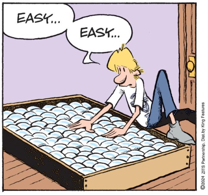 Indoor games and sports OCR: I ?2024 ZITS Partnership. Dist. by King Features 2 EASY... EASY... I ?2024 ZITS Partnership . Dist . by King Features 2 EASY ... EASY ...
