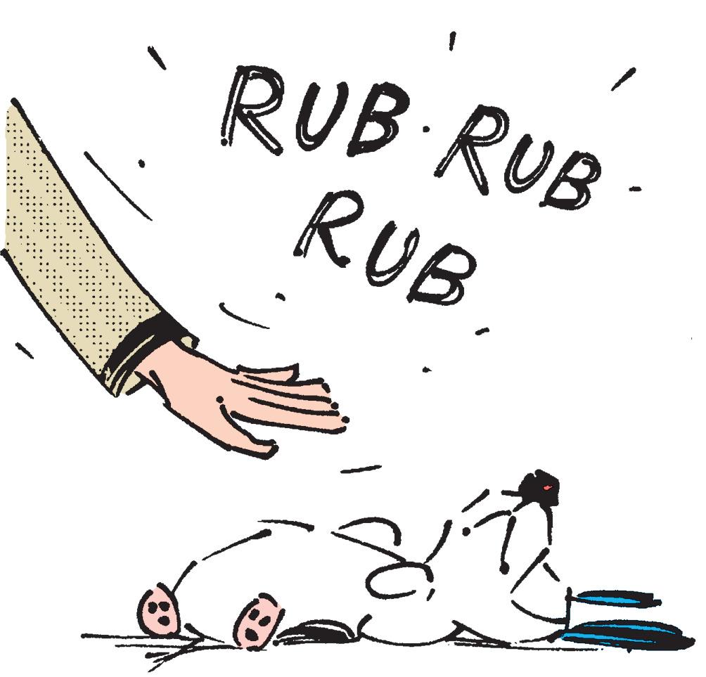 Drawing OCR: RUB RUB RUB RUB RUB RUB
