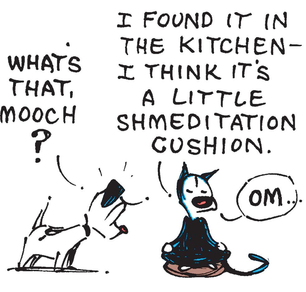 Line OCR: WHAT'S THAT MOOCH P I FOUND IT IN THE KITCHEN- I THINK IT'S A LITTLE SHMEDITATION CUSHION. OM..). WHAT'S THAT MOOCH P I FOUND IT IN THE KITCHEN- I THINK IT'S A LITTLE SHMEDITATION CUSHION . OM .. ) .