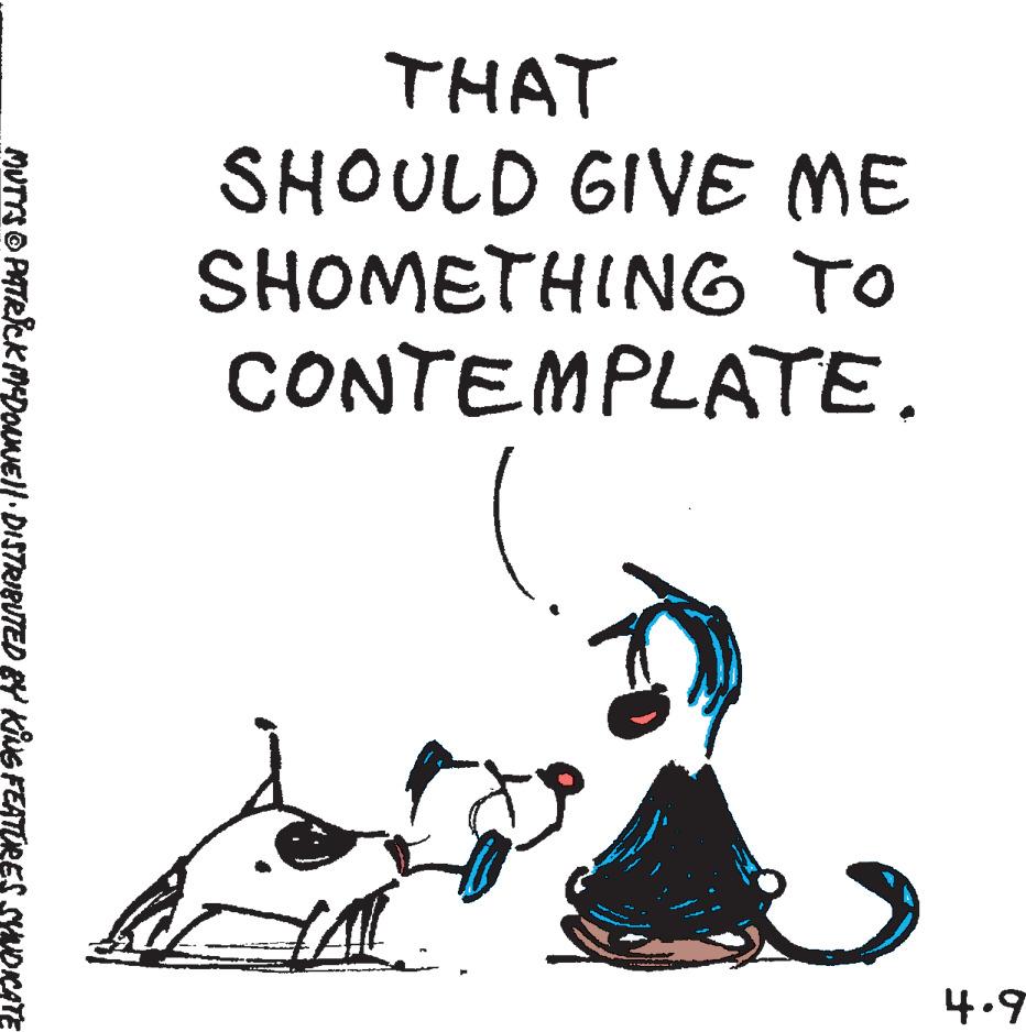 Poster OCR: THAT SHOULD GIVE ME SHOMETHING TO CONTEMPLATE. MUTYS © PATRICK MCDONNEL!· DISTRIBUTED BY KING FEATURES SYNDICATE 4.9 THAT SHOULD GIVE ME SHOMETHING TO CONTEMPLATE . MUTYS © PATRICK MCDONNEL ! · DISTRIBUTED BY KING FEATURES SYNDICATE 4.9