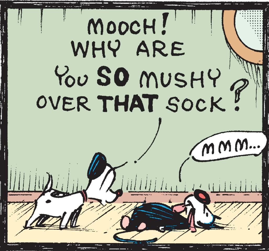 Fiction OCR: -1 MOOCH! ARE WHY You SO MUSHY OVER THAT SOCK? mmm... -1 MOOCH ! ARE WHY You SO MUSHY OVER THAT SOCK ? mmm ...