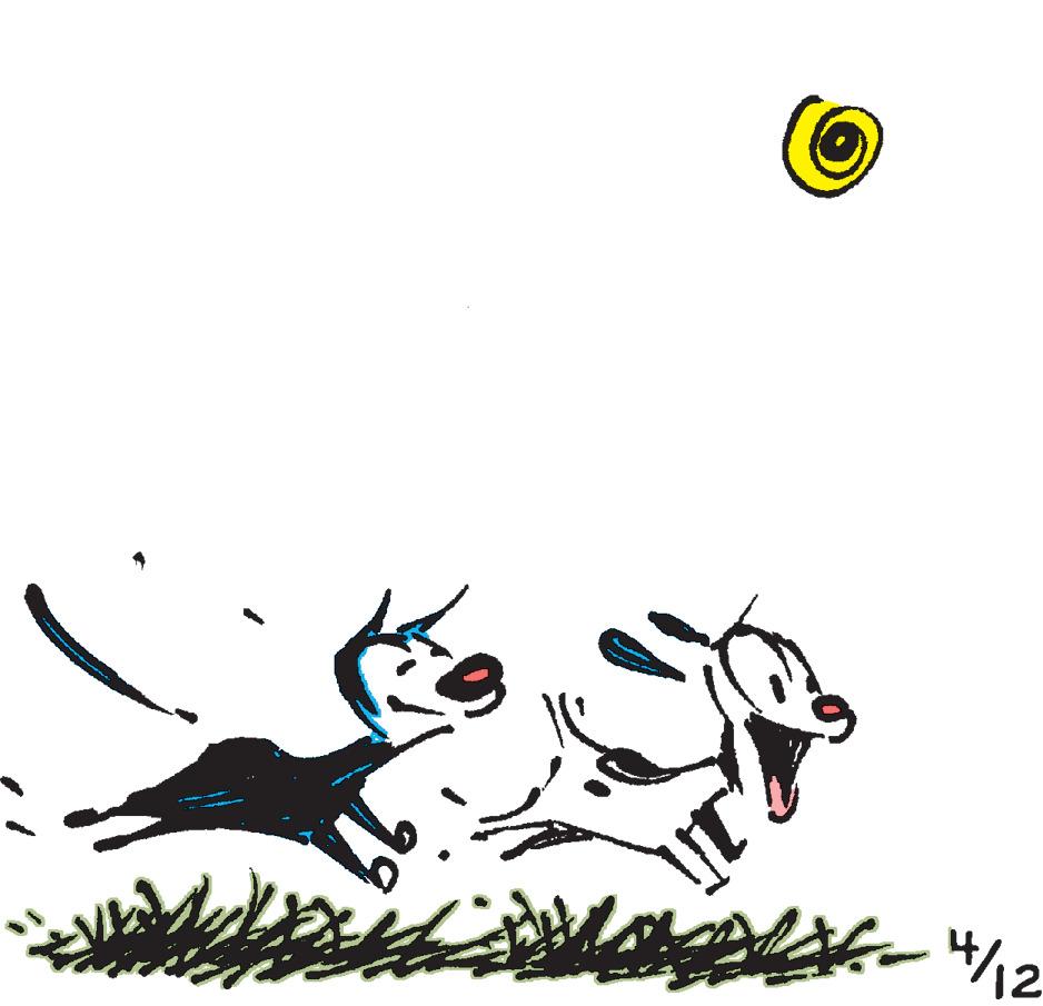Mutts - Part 1 - 2024-04-12
