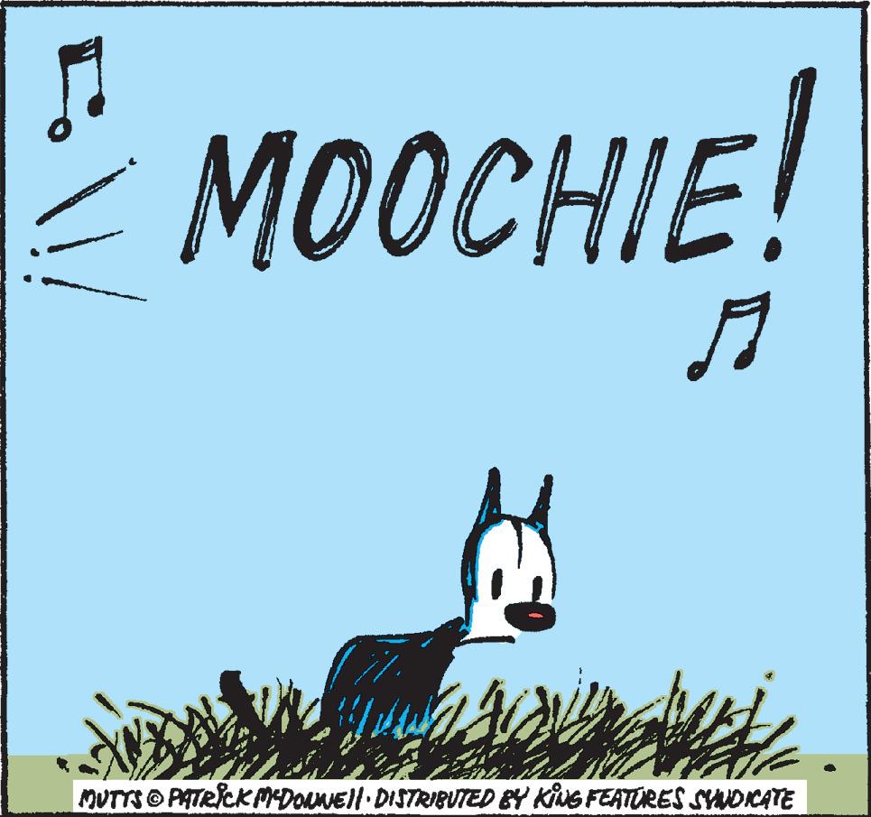 Graphics OCR: MOOCHIE! !! MUTTS PATRICK MCDONNELL DISTRIBUTED BY KING FEATURES SYNDICATE " MOOCHIE ! !! MUTTS PATRICK MCDONNELL DISTRIBUTED BY KING FEATURES SYNDICATE "