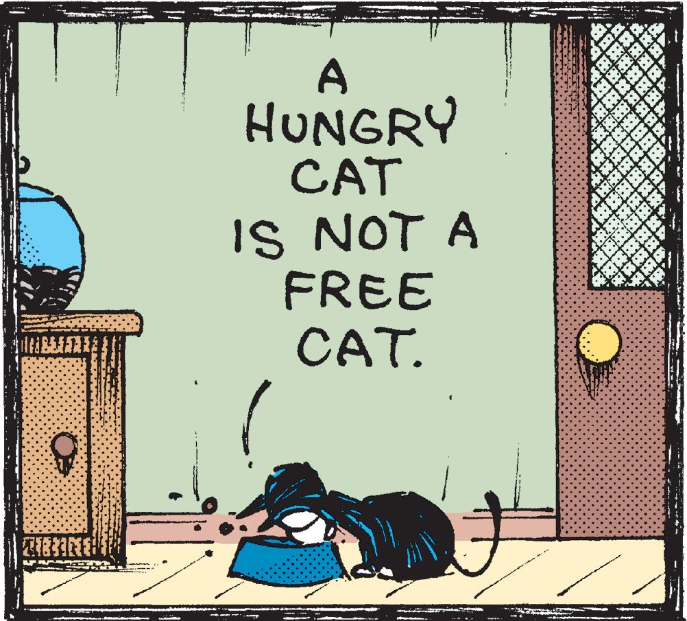 Pattern OCR: 201833 A HUNGRY CAT IS NOT A FREE CAT. 201833 A HUNGRY CAT IS NOT A FREE CAT .