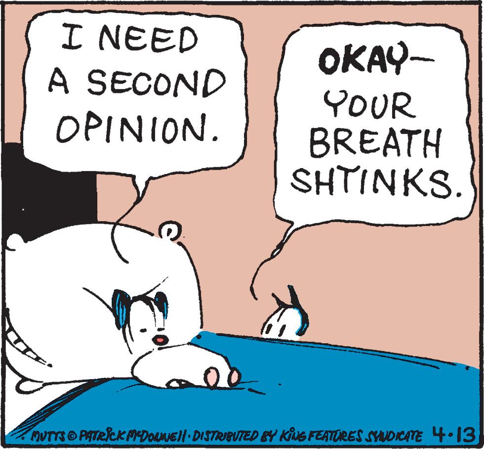 Line OCR: I NEED A SECOND OPINION. OKAY- YOUR BREATH SHTINKS. MUTTS@PATRICK MEDOWNEll · DISTRIBUTED BY KING FEATURES SYNDICATE 4.13 I NEED A SECOND OPINION . OKAY- YOUR BREATH SHTINKS . MUTTS @ PATRICK MEDOWNEll · DISTRIBUTED BY KING FEATURES SYNDICATE 4.13