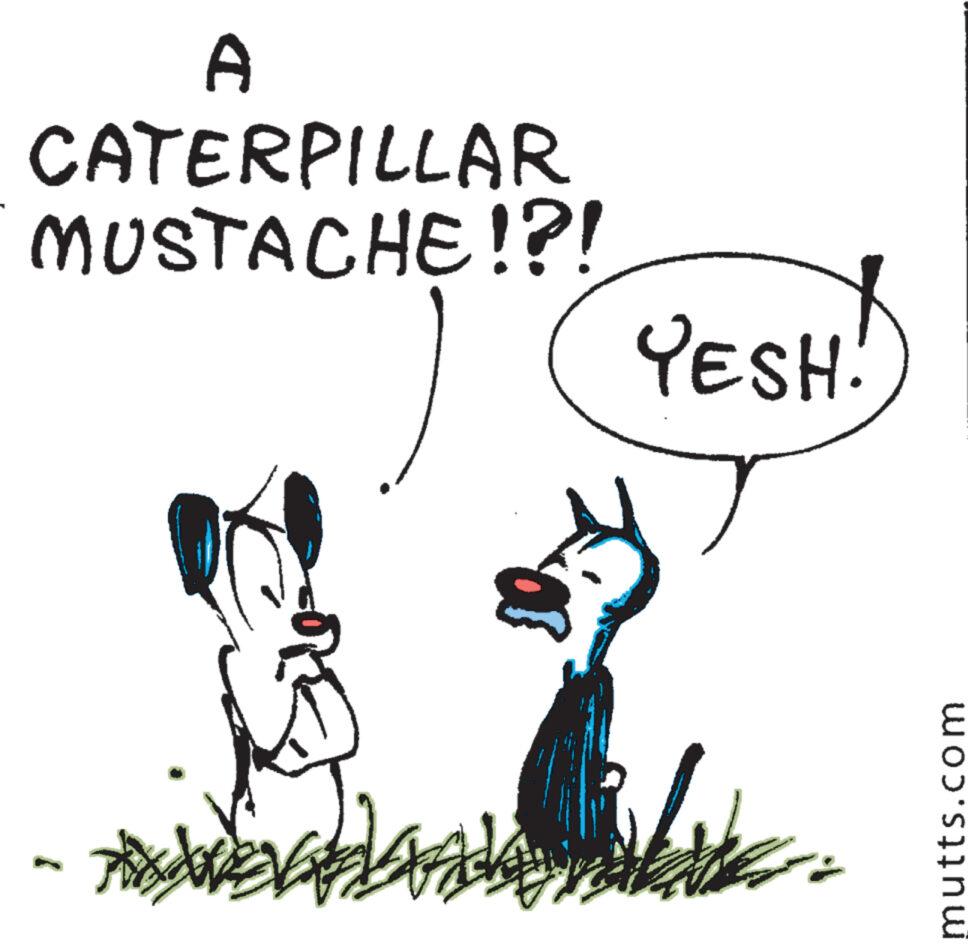 Gesture OCR: A CATERPILLAR MUSTACHE!?! YESH! mutts.com A CATERPILLAR MUSTACHE ! ? ! YESH ! mutts.com