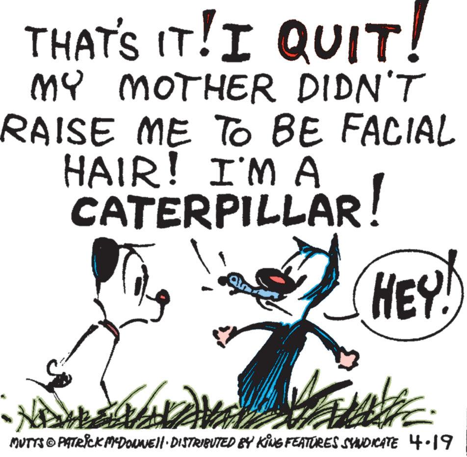 Line art OCR: THAT'S IT! I QUIT! MY MOTHER DIDN'T RAISE ME TO BE FACIAL HAIR! I'M A CATERPILLAR! HEY! MUTTS PATRICK MYDONNELL DISTRIBUTED BY KING FEATURES SYNDICATE 4.19 THAT'S IT ! I QUIT ! MY MOTHER DIDN'T RAISE ME TO BE FACIAL HAIR ! I'M A CATERPILLAR ! HEY ! MUTTS PATRICK MYDONNELL DISTRIBUTED BY KING FEATURES SYNDICATE 4.19
