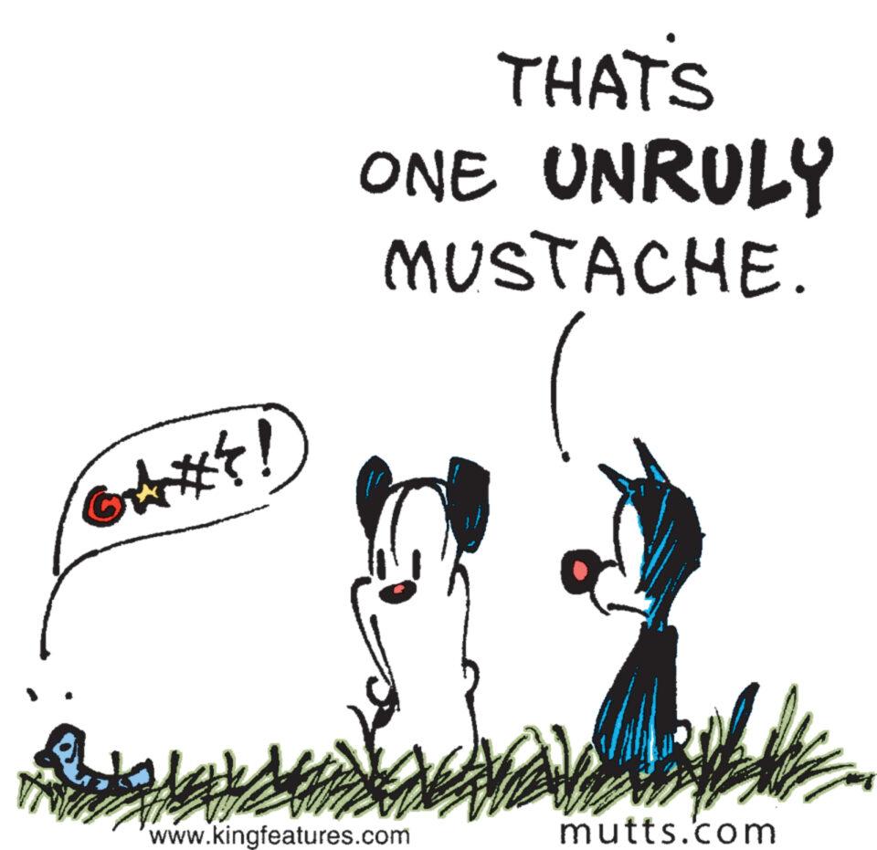 Pleased OCR: GAHS! THAT'S ONE UNRULY MUSTACHE. www.kingfeatures.com mutts.com GAHS ! THAT'S ONE UNRULY MUSTACHE . www.kingfeatures.com mutts.com