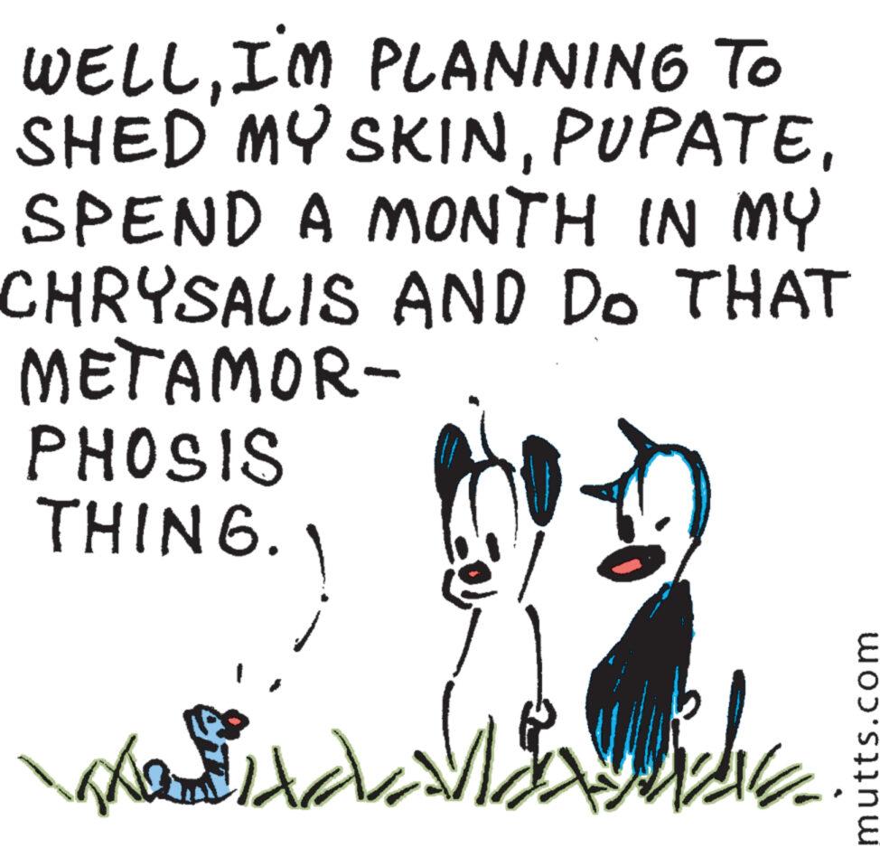 Handwriting OCR: WELLI'M PLANNING To SHED MY SKINSPEND A MONTH IN MY CHRYSALIS AND DO THAT METAMOR- PHOSIS THING. mutts.com WELLI'M PLANNING To SHED MY SKINSPEND A MONTH IN MY CHRYSALIS AND DO THAT METAMOR- PHOSIS THING . mutts.com