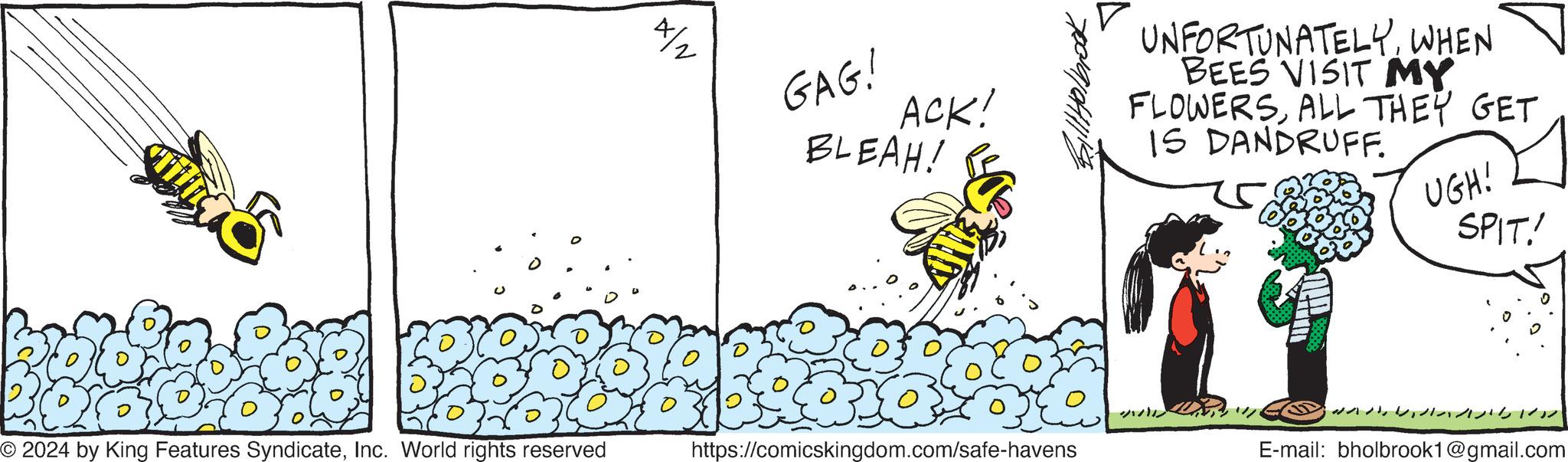 Art OCR: 4/2 GAG! ACK! BLEAH! UNFORTUNATELYWHEN BEES VISIT MY FLOWERSALL THEY GET IS DANDRUFF. UGH! SPIT! ??? © 2024 by King Features SyndicateInc. World rights reserved https://comicskingdom.com/safe-havens E-mail: bholbrook1@gmail.com 4/2 GAG ! ACK ! BLEAH ! UNFORTUNATELYWHEN BEES VISIT MY FLOWERSALL THEY GET IS DANDRUFF . UGH ! SPIT ! ??? © 2024 by King Features SyndicateInc. World rights reserved https://comicskingdom.com/safe-havens E - mail : bholbrook1@gmail.com