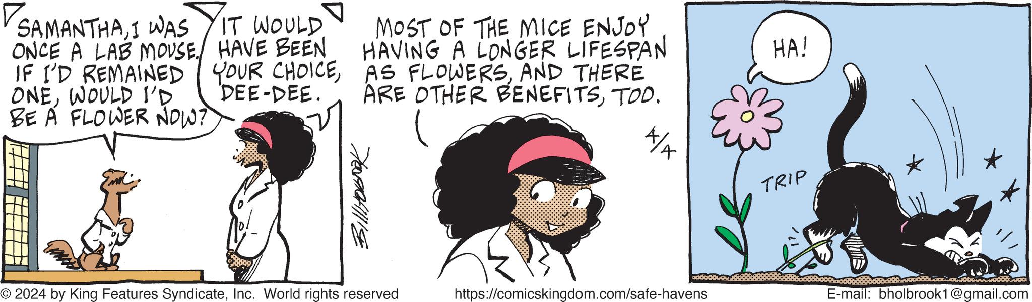 Plant OCR: SAMANTHAI WAS IT WOULD ONCE A LAB MOUSE. HAVE BEEN IF I'D REMAINED YOUR CHOICEWOULD I'D 'DEE-DEE. BE A FLOWER NOW? MOST OF THE MICE ENJOY HAVING A LONGER LIFESPAN AS FLOWERSAND THERE ARE OTHER BENEFITSTOO. 4 Billitobook © 2024 by King Features SyndicateInc. World rights reserved https://comicskingdom.com/safe-havens TRIP HA! E-mail: bholbrook1@gmail.com SAMANTHAI WAS IT WOULD ONCE A LAB MOUSE . HAVE BEEN IF I'D REMAINED YOUR CHOICEWOULD I'D ' DEE - DEE . BE A FLOWER NOW ? MOST OF THE MICE ENJOY HAVING A LONGER LIFESPAN AS FLOWERSAND THERE ARE OTHER BENEFITSTOO . 4 Billitobook © 2024 by King Features SyndicateInc. World rights reserved https://comicskingdom.com/safe-havens TRIP HA ! E - mail : bholbrook1@gmail.com