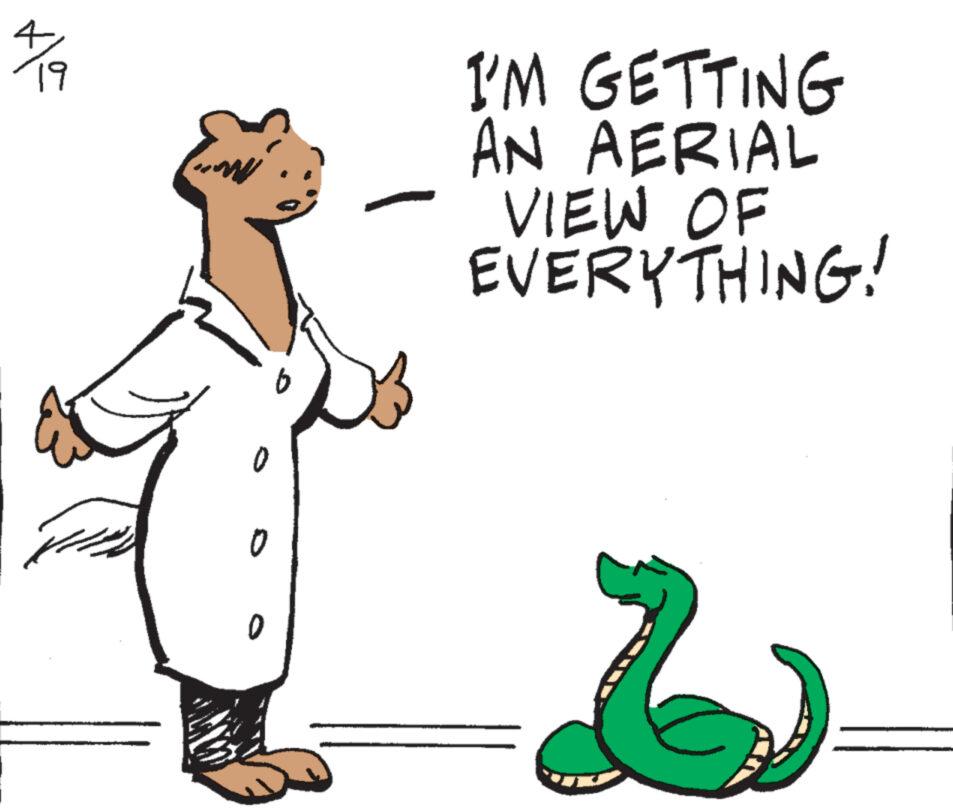Pleased OCR: 4/19 I'M GETTING AN AERIAL VIEW OF EVERYTHING! 0 4/19 I'M GETTING AN AERIAL VIEW OF EVERYTHING ! 0