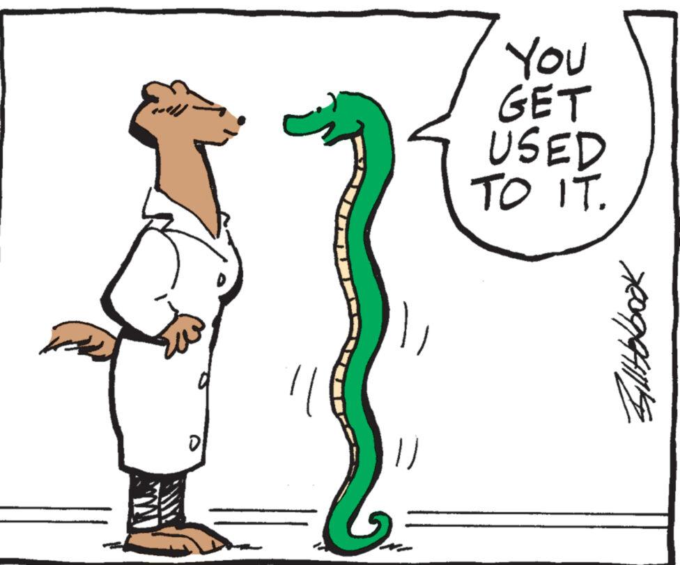 Slope OCR: You GET USED TO IT. Bill Holbook You GET USED TO IT . Bill Holbook