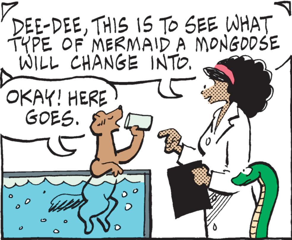 Art OCR: DEE-DEETHIS IS TO SEE WHAT TYPE OF MERMAID A MONGOOSE WILL CHANGE INTO. OKAY! HERE GOES. 0 DEE - DEETHIS IS TO SEE WHAT TYPE OF MERMAID A MONGOOSE WILL CHANGE INTO . OKAY ! HERE GOES . 0