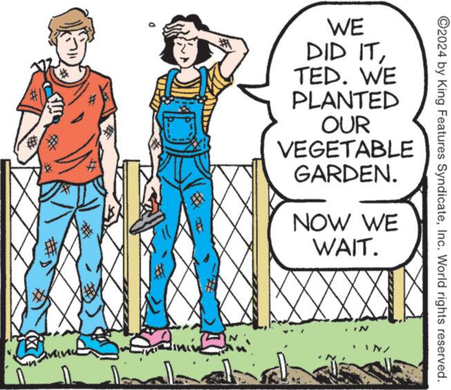 Hat OCR: # # WE DID ITTED. WE PLANTED OUR VEGETABLE GARDEN. NOW WE WAIT. ©2024 by King Features SyndicateInc. World rights reserved. # # WE DID ITTED . WE PLANTED OUR VEGETABLE GARDEN . NOW WE WAIT . © 2024 by King Features SyndicateInc. World rights reserved .