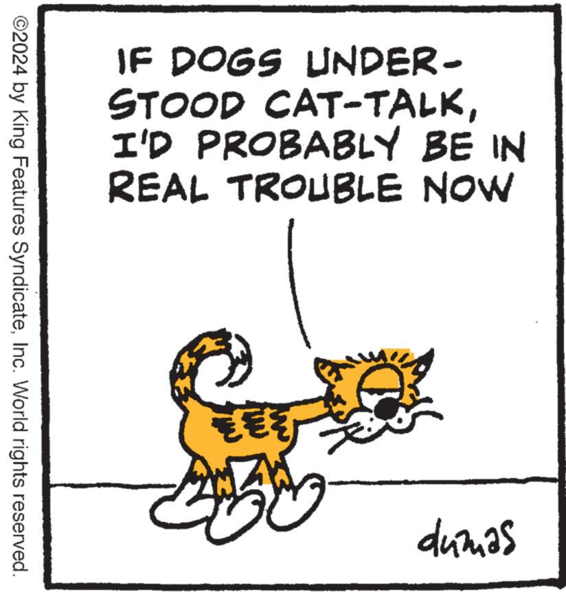 Line art OCR: ©2024 by King Features SyndicateInc. World rights reserved. IF DOGS UNDER- STOOD CAT-TALKI'D PROBABLY BE IN REAL TROUBLE NOW ??? D dumas © 2024 by King Features SyndicateInc. World rights reserved . IF DOGS UNDER- STOOD CAT - TALKI'D PROBABLY BE IN REAL TROUBLE NOW ??? D dumas