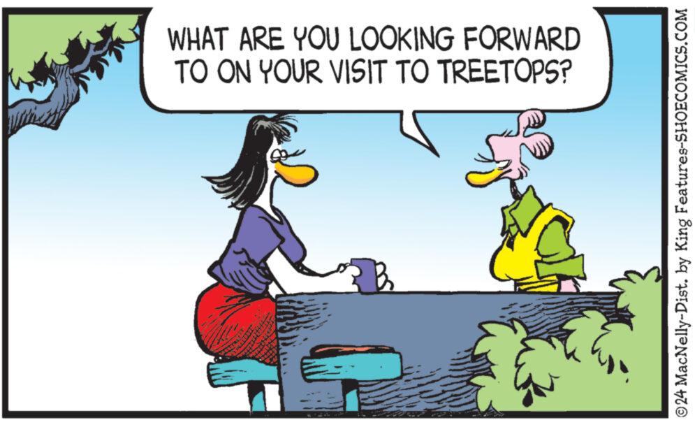 Illustration OCR: WHAT ARE YOU LOOKING FORWARD TO ON YOUR VISIT TO TREETOPS? B ©24 MacNelly-Dist. by King Features-SHOECOMICS.COM WHAT ARE YOU LOOKING FORWARD TO ON YOUR VISIT TO TREETOPS ? B © 24 MacNelly - Dist . by King Features-SHOECOMICS.COM