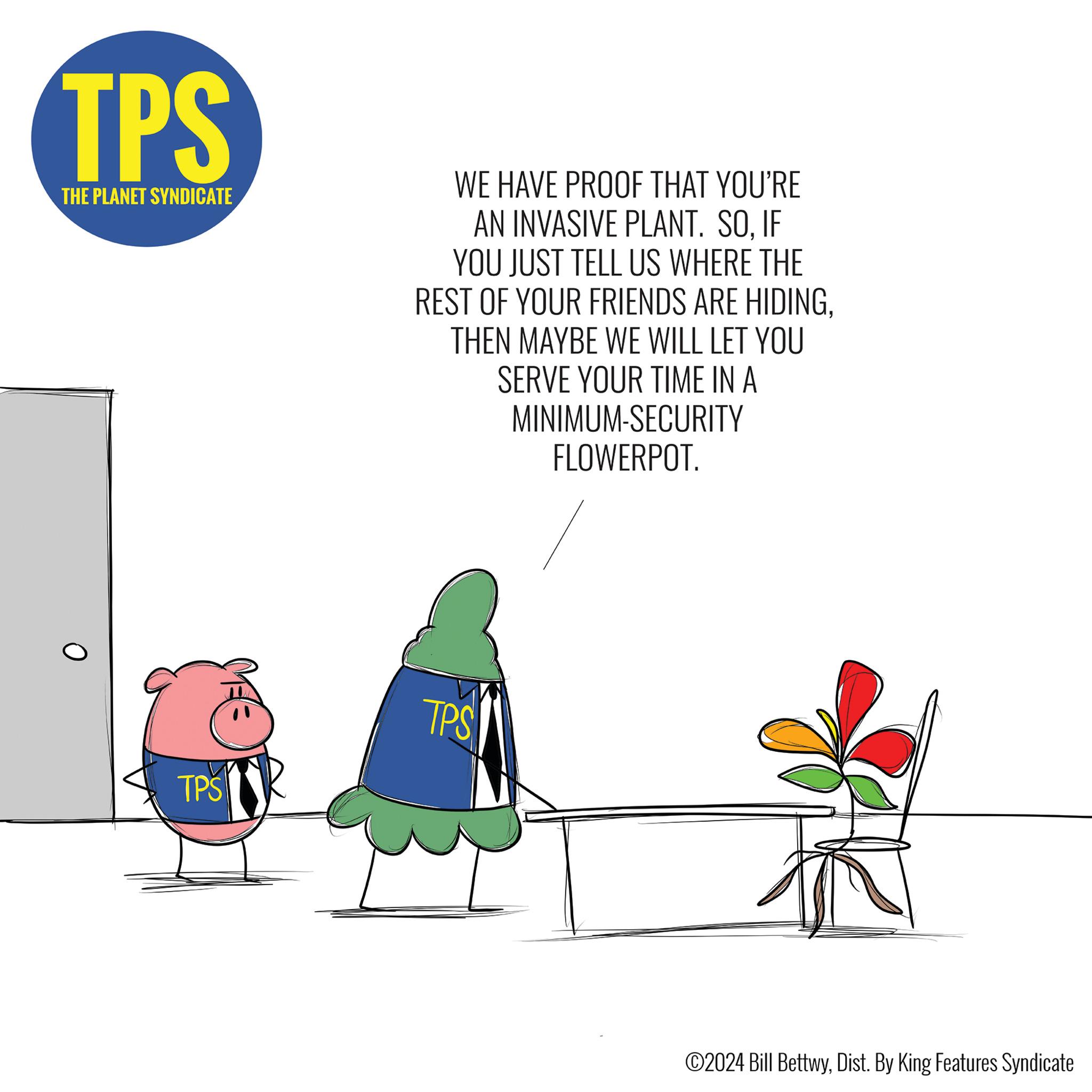 People in nature OCR: TPS THE PLANET SYNDICATE WE HAVE PROOF THAT YOU'RE AN INVASIVE PLANT. SOIF YOU JUST TELL US WHERE THE REST OF YOUR FRIENDS ARE HIDINGTHEN MAYBE WE WILL LET YOU SERVE YOUR TIME IN A MINIMUM-SECURITY FLOWERPOT. TPS TPS ©2024 Bill BettwyDist. By King Features Syndicate TPS THE PLANET SYNDICATE WE HAVE PROOF THAT YOU'RE AN INVASIVE PLANT . SOIF YOU JUST TELL US WHERE THE REST OF YOUR FRIENDS ARE HIDINGTHEN MAYBE WE WILL LET YOU SERVE YOUR TIME IN A MINIMUM - SECURITY FLOWERPOT . TPS TPS © 2024 Bill BettwyDist . By King Features Syndicate