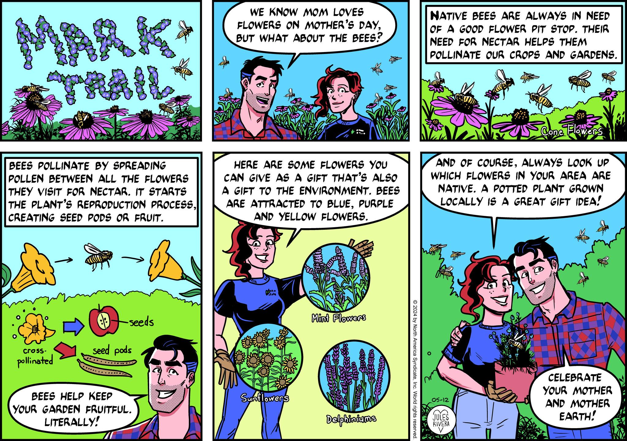 Comic book OCR: MARK TRAIL WE KNOW MOM LOVES FLOWERS ON MOTHER'S DAYBUT WHAT ABOUT THE BEES? NATIVE BEES ARE ALWAYS IN NEED OF A GOOD FLOWER PIT STOP. THEIR NEED FOR NECTAR HELPS THEM POLLINATE OUR CROPS AND GARDENS. BEES POLLINATE BY SPREADING POLLEN BETWEEN ALL THE FLOWERS THEY VISIT FOR NECTAR. IT STARTS THE PLANT'S REPRODUCTION PROCESSCREATING SEED PODS OR FRUIT. -- HERE ARE SOME FLOWERS YOU CAN GIVE AS A GIFT THAT'S ALSO A GIFT TO THE ENVIRONMENT. BEES ARE ATTRACTED TO BLUEPURPLE AND YELLOW FLOWERS. Cone Flowers AND OF COURSEALWAYS LOOK UP WHICH FLOWERS IN YOUR AREA ARE NATIVE. A POTTED PLANT GROWN LOCALLY IS A GREAT GIFT IDEA! -seeds cross- seed pods pollinated BEES HELP KEEP YOUR GARDEN FRUITFUL. LITERALLY! Mint Flowers Sunflowers Delphiniums 2024 by North America SyndicateInc. World rights reserved 05-12 JULES CELEBRATE YOUR MOTHER AND MOTHER EARTH! RIVERA MARK TRAIL WE KNOW MOM LOVES FLOWERS ON MOTHER'S DAYBUT WHAT ABOUT THE BEES ? NATIVE BEES ARE ALWAYS IN NEED OF A GOOD FLOWER PIT STOP . THEIR NEED FOR NECTAR HELPS THEM POLLINATE OUR CROPS AND GARDENS . BEES POLLINATE BY SPREADING POLLEN BETWEEN ALL THE FLOWERS THEY VISIT FOR NECTAR . IT STARTS THE PLANT'S REPRODUCTION PROCESSCREATING SEED PODS OR FRUIT . -- HERE ARE SOME FLOWERS YOU CAN GIVE AS A GIFT THAT'S ALSO A GIFT TO THE ENVIRONMENT . BEES ARE ATTRACTED TO BLUEPURPLE AND YELLOW FLOWERS . Cone Flowers AND OF COURSEALWAYS LOOK UP WHICH FLOWERS IN YOUR AREA ARE NATIVE . A POTTED PLANT GROWN LOCALLY IS A GREAT GIFT IDEA ! -seeds cross- seed pods pollinated BEES HELP KEEP YOUR GARDEN FRUITFUL . LITERALLY ! Mint Flowers Sunflowers Delphiniums 2024 by North America SyndicateInc. World rights reserved 05-12 JULES CELEBRATE YOUR MOTHER AND MOTHER EARTH ! RIVERA