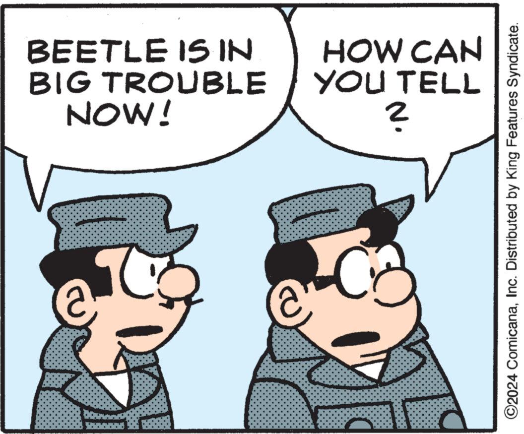 Publication OCR: BEETLE IS IN. BIG TROUBLE NOW! HOW CAN YOU TELL ? ©2024 ComicanaInc. Distributed by King Features Syndicate. BEETLE IS IN . BIG TROUBLE NOW ! HOW CAN YOU TELL ? © 2024 ComicanaInc. Distributed by King Features Syndicate .