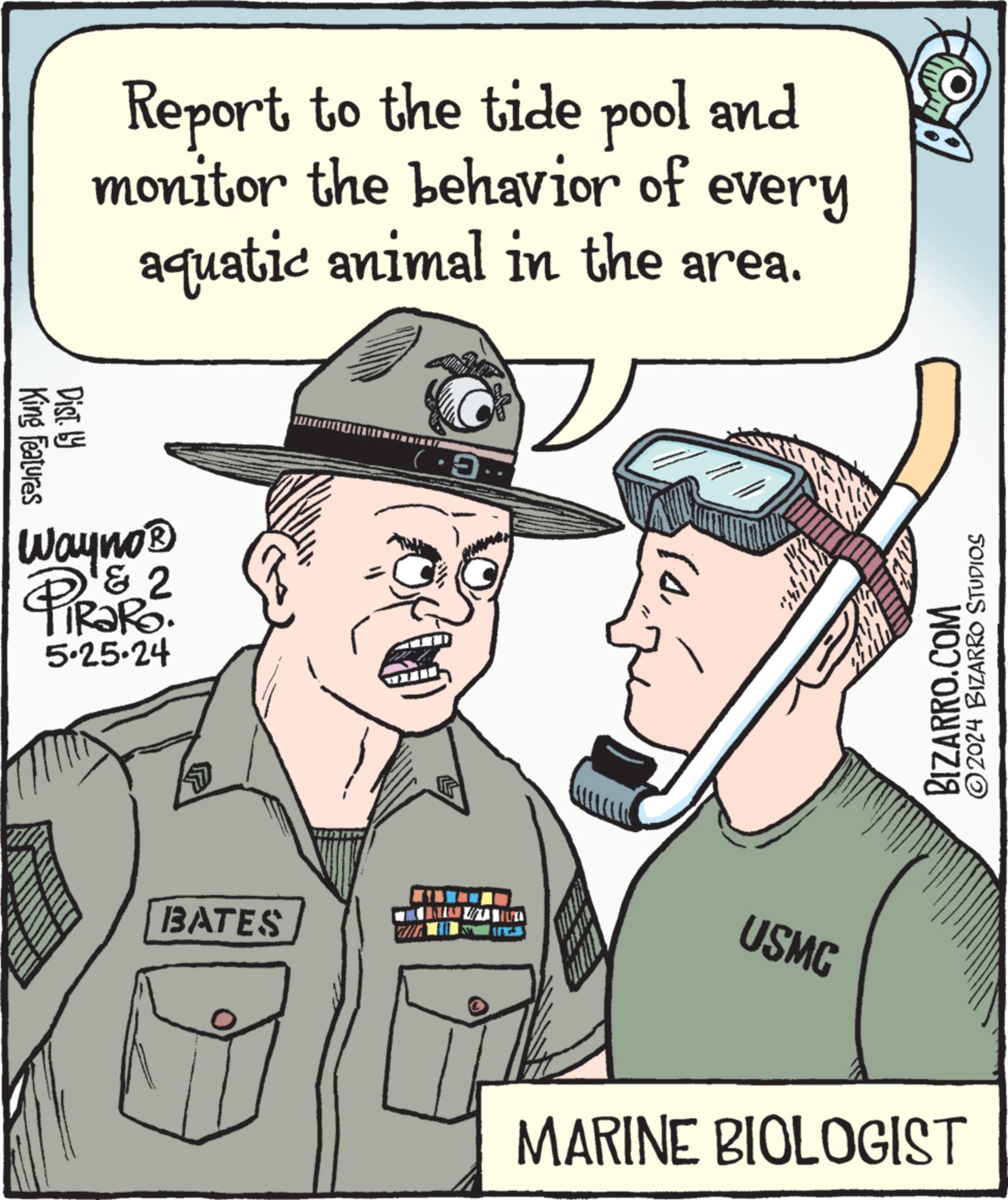 People OCR: King Features Report to the tide pool and monitor the behavior of every aquatic animal in the area. Wayno? & 2 PiRaRo. 5.25.24 BATES ( ·9. USMC MARINE BIOLOGIST BOL BIZARRO.COM ©2024 BIZARRO STUDIOS King Features Report to the tide pool and monitor the behavior of every aquatic animal in the area . Wayno? & 2 PiRaRo . 5.25.24 BATES ( · 9 . USMC MARINE BIOLOGIST BOL BIZARRO.COM © 2024 BIZARRO STUDIOS