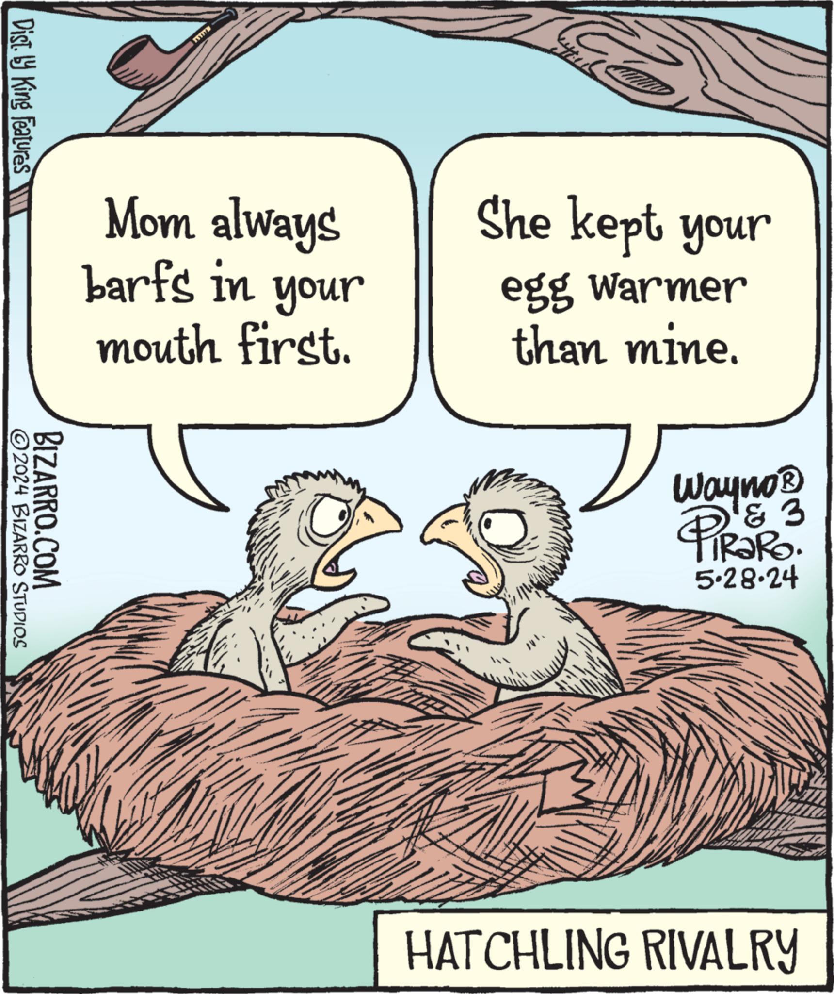 Art OCR: Dist. by King Features Mom always barfs in your mouth first. She kept your egg Warmer than mine. BIZARRO.COM ©2024 BIZARRO STUDIOS Wayno? & 3 PIR?RO 5.28.24 HATCHLING RIVALRY Dist . by King Features Mom always barfs in your mouth first . She kept your egg Warmer than mine . BIZARRO.COM © 2024 BIZARRO STUDIOS Wayno? & 3 PIR?RO 5.28.24 HATCHLING RIVALRY
