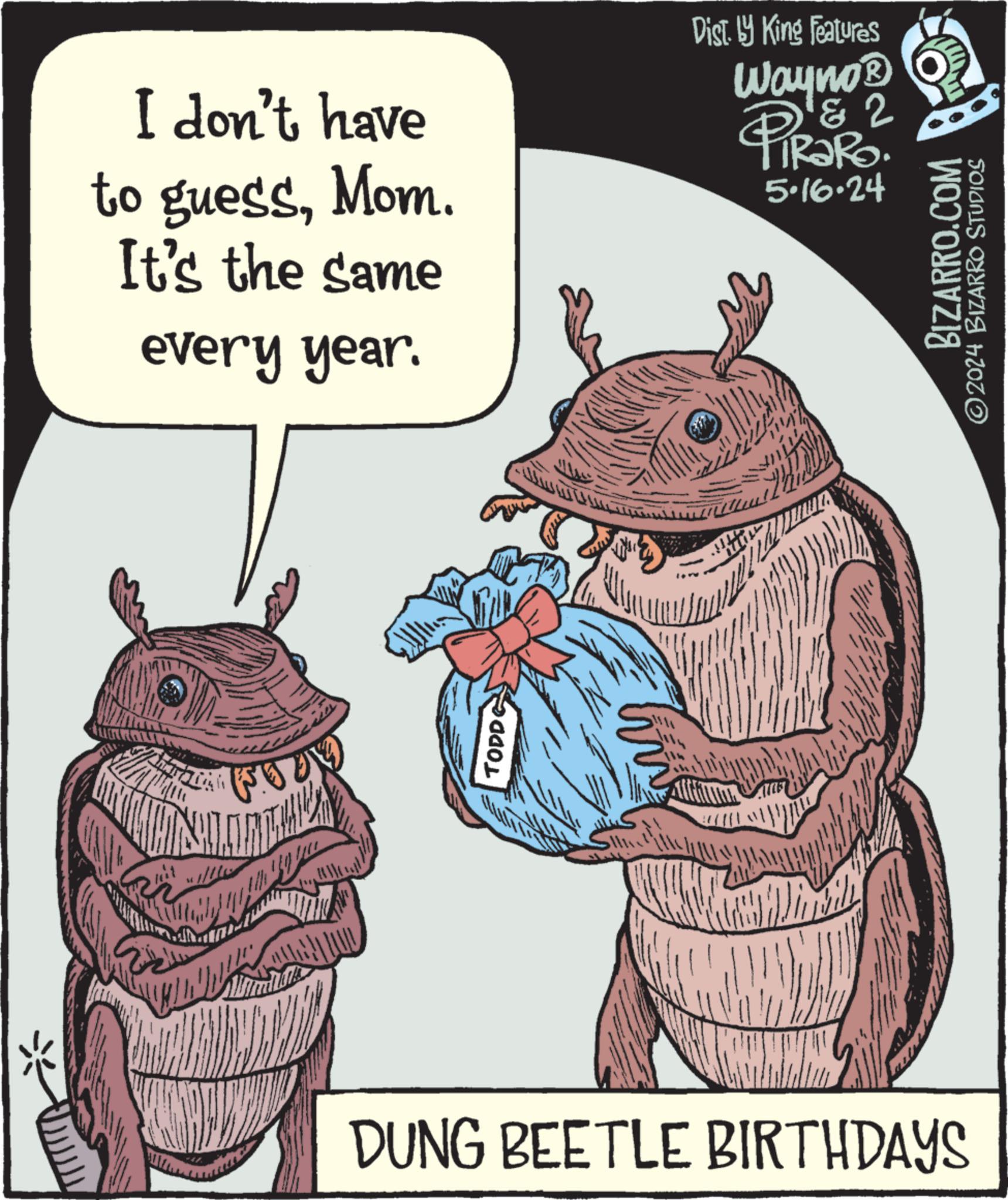 Illustration OCR: I don't have to guessMom. It's the same every year. Dist. by King Features Wayno? & 2 PiRaRo 5.16.24 FOOD TODD ww DUNG BEETLE BIRTHDAYS BIZARRO.COM 2024 BIZARRO STUDIOS I don't have to guessMom . It's the same every year . Dist . by King Features Wayno? & 2 PiRaRo 5.16.24 FOOD TODD ww DUNG BEETLE BIRTHDAYS BIZARRO.COM 2024 BIZARRO STUDIOS