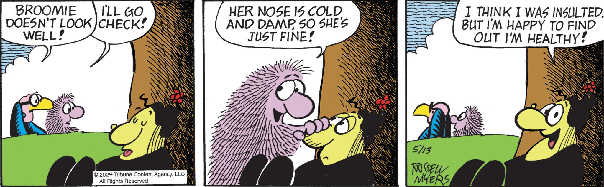 Illustration OCR: BROOMIE I'LL GO DOESN'T LOOK CHECK! WELL! HER NOSE IS COLD. AND DAMPSO SHE'S JUST FINE! I THINK I WAS INSULTED BUT I'M HAPPY TO FIND OUT I'M HEALTHY! 2024 Tribune Content AgencyLLC All Rights Reserved 5113 TUSSELL 'MYERS BROOMIE I'LL GO DOESN'T LOOK CHECK ! WELL ! HER NOSE IS COLD . AND DAMPSO SHE'S JUST FINE ! I THINK I WAS INSULTED BUT I'M HAPPY TO FIND OUT I'M HEALTHY ! 2024 Tribune Content AgencyLLC All Rights Reserved 5113 TUSSELL ' MYERS