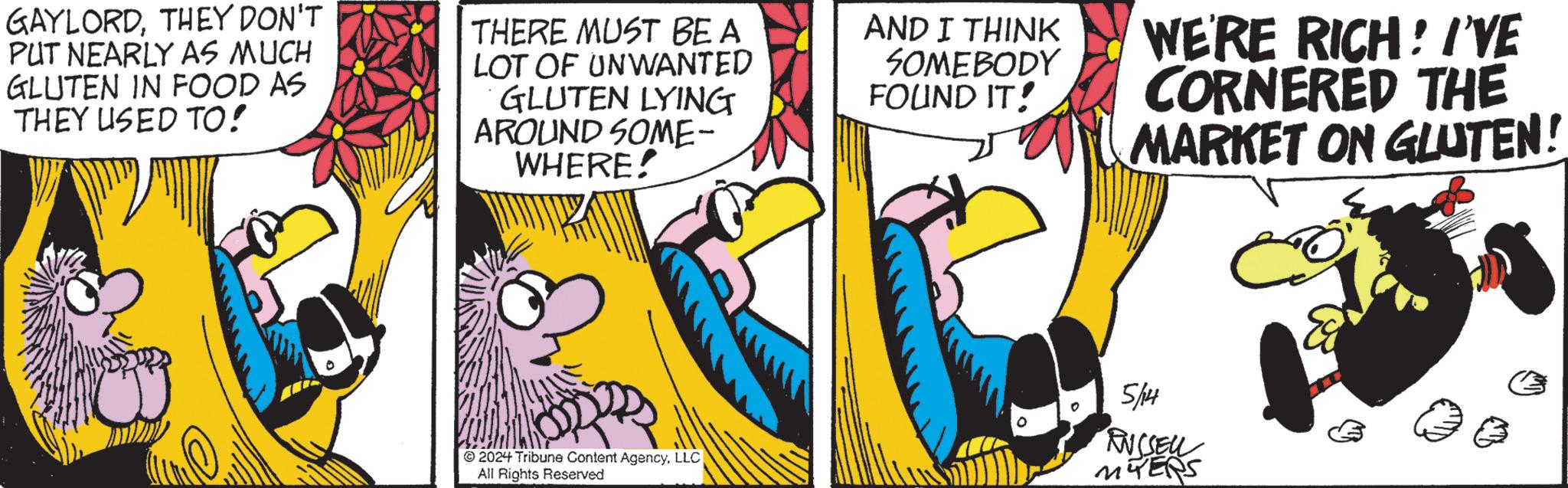 Publication OCR: GAYLORDTHEY DON'T PUT NEARLY AS MUCH GLUTEN IN FOOD AS THEY USED TO! THERE MUST BE A LOT OF UNWANTED GLUTEN LYING AROUND SOME- WHERE! AND I THINK SOMEBODY FOUND IT! WE'RE RICH! I'VE CORNERED THE MARKET ON GLUTEN! 2024 Tribune Content AgencyLLC All Rights Reserved 5/14 ANCSELL MYERS GAYLORDTHEY DON'T PUT NEARLY AS MUCH GLUTEN IN FOOD AS THEY USED TO ! THERE MUST BE A LOT OF UNWANTED GLUTEN LYING AROUND SOME- WHERE ! AND I THINK SOMEBODY FOUND IT ! WE'RE RICH ! I'VE CORNERED THE MARKET ON GLUTEN ! 2024 Tribune Content AgencyLLC All Rights Reserved 5/14 ANCSELL MYERS