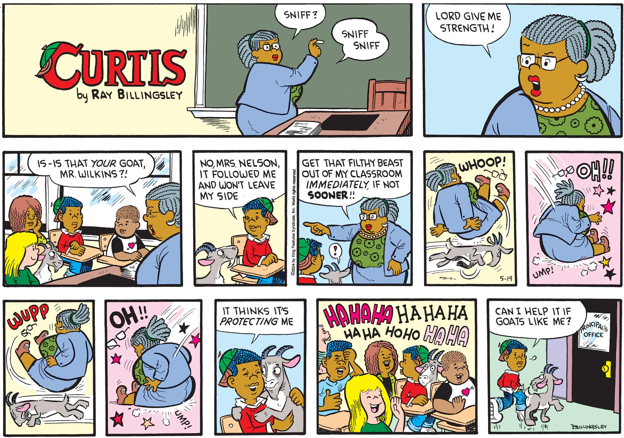 Comics OCR: CURTIS by RAY BILLINGSLEY IS-IS THAT YOUR GOATMR. WILKINS?! NOIT FOLLOWED ME AND WON'T LEAVE MY SIDE SNIFF? C2024 by King Features SyndicateInc. World rights reserved. SNIFF SNIFF LORD GIVE ME STRENGTH! GET THAT FILTHY BEAST OUT OF MY CLASSROOM IMMEDIATELYIF NOT SOONER!! WHOOP! OOH!! ))) WUPP 507 OH!! IT THINKS IT'S PROTECTING ME HAHAHAHAHAHA HAHA HOHO HAHA 5-19 UMP! CAN I HELP IT IF GOATS LIKE ME? PRINCIPAL'S UMP! OFFICE BILLINGSLEY CURTIS by RAY BILLINGSLEY IS - IS THAT YOUR GOATMR . WILKINS ?! NOMRS . NELSONIT FOLLOWED ME AND WON'T LEAVE MY SIDE SNIFF ? C2024 by King Features SyndicateInc. World rights reserved . SNIFF SNIFF LORD GIVE ME STRENGTH ! GET THAT FILTHY BEAST OUT OF MY CLASSROOM IMMEDIATELYIF NOT SOONER !! WHOOP ! OOH !! ) ) ) WUPP 507 OH !! IT THINKS IT'S PROTECTING ME HAHAHAHAHAHA HAHA HOHO HAHA 5-19 UMP ! CAN I HELP IT IF GOATS LIKE ME ? PRINCIPAL'S UMP ! OFFICE BILLINGSLEY