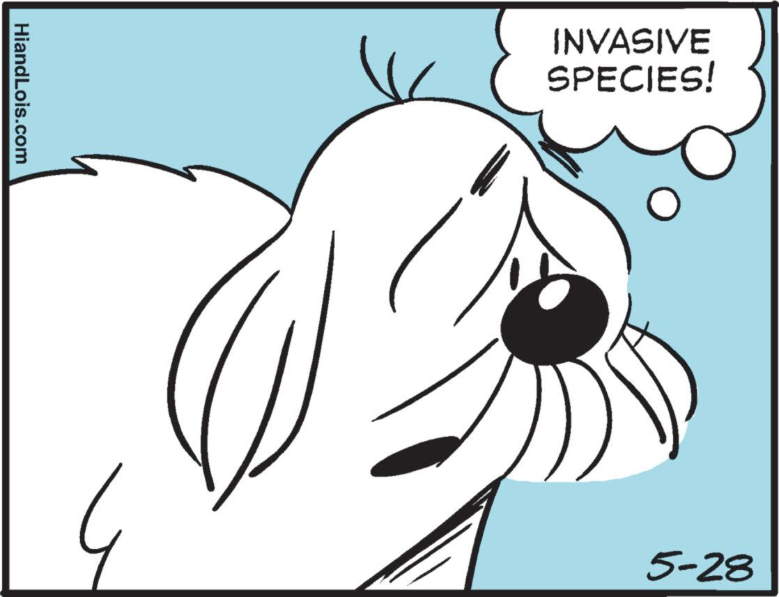 Mammal OCR: HiandLois.com INVASIVE SPECIES! 5-28 HiandLois.com INVASIVE SPECIES ! 5-28