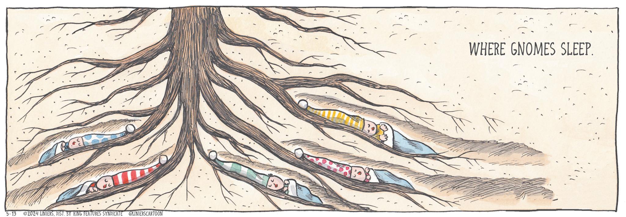 Trunk OCR: 5-13 02024 LINIERSDIST. BY KING FEATURES SYNDICATE @LINIERSCARTOON WHERE GNOMES SLEEP. 5-13 02024 LINIERSDIST . BY KING FEATURES SYNDICATE @LINIERSCARTOON WHERE GNOMES SLEEP .
