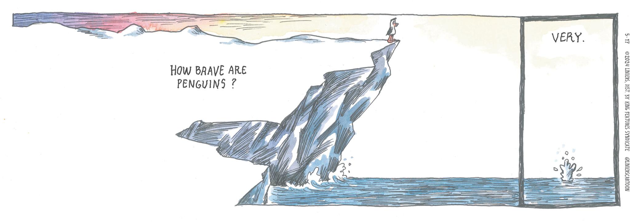 Illustration OCR: 5-17 2024 LINIERSDIST. BY KING FEATURES SYNDICATE @LINIERSCARTOON HOW BRAVE ARE PENGUINS ? VERY. 5-17 2024 LINIERSDIST . BY KING FEATURES SYNDICATE @LINIERSCARTOON HOW BRAVE ARE PENGUINS ? VERY .