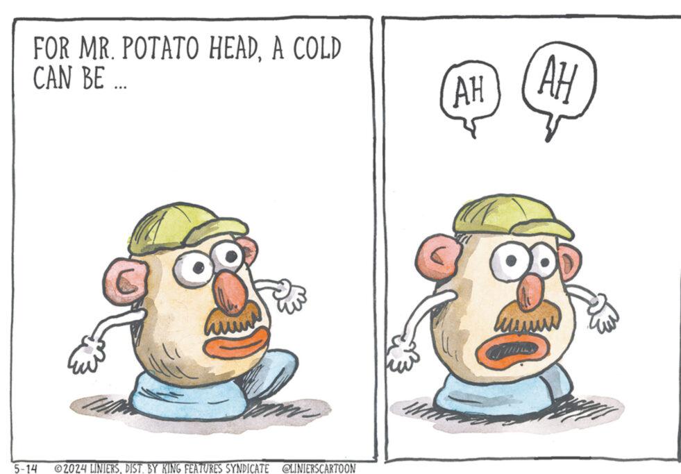 Line OCR: FOR MR. POTATO HEADA COLD CAN BE ... AH AH 5-14 ©2024 LINIERSDIST. BY KING FEATURES SYNDICATE @LINIERSCARTOON FOR MR . POTATO HEADA COLD CAN BE ... AH AH 5-14 © 2024 LINIERSDIST . BY KING FEATURES SYNDICATE @LINIERSCARTOON