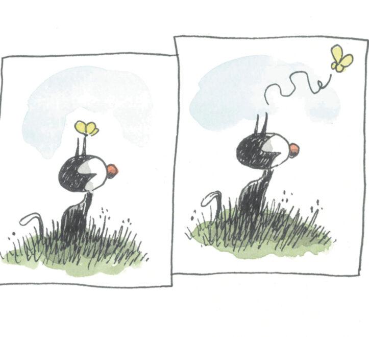 Grass family OCR: 8 8
