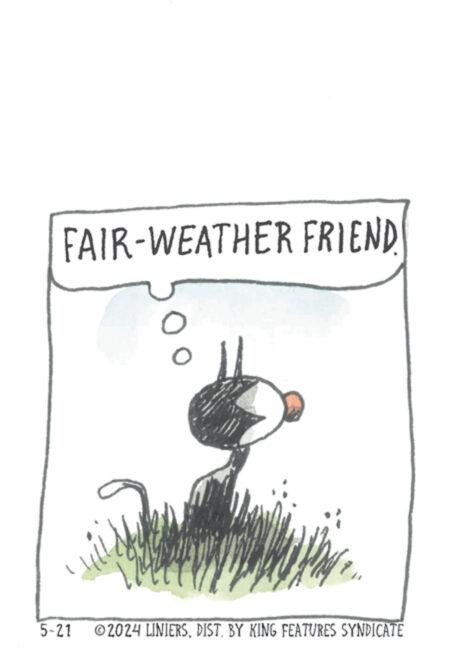 Vegetable OCR: FAIR-WEATHER FRIEND. 5-21 ©2024 LINIERSDIST. BY KING FEATURES SYNDICATE FAIR - WEATHER FRIEND . 5-21 © 2024 LINIERSDIST . BY KING FEATURES SYNDICATE
