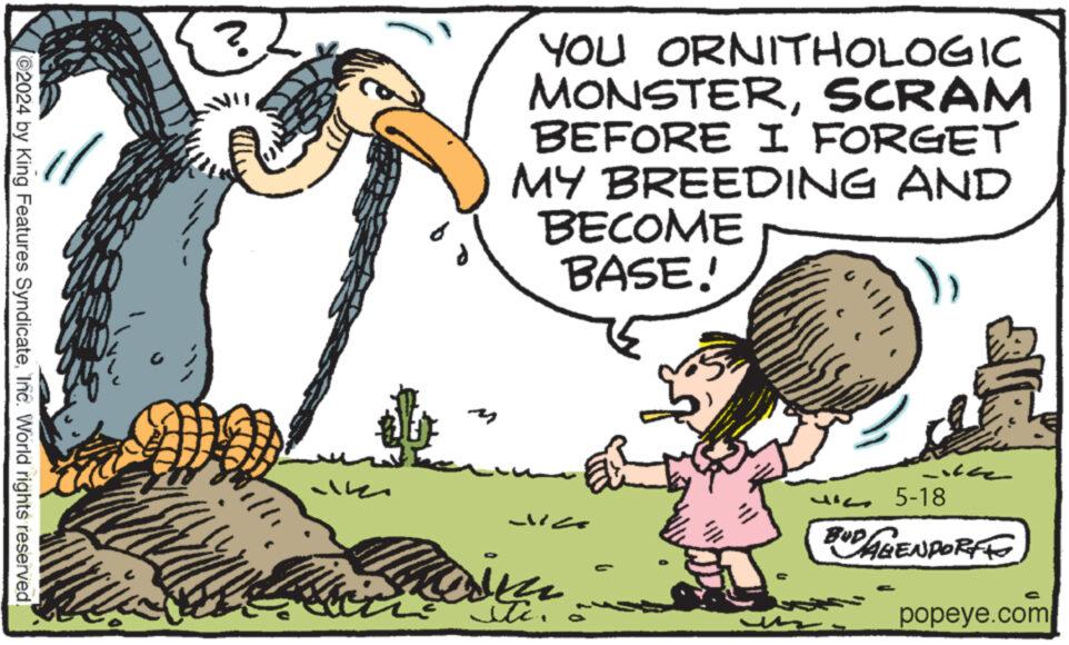 People in nature OCR: 2024 by King Features SyndicateInc. World rights reserved. ? YOU ORNITHOLOGIC MONSTERSCRAM BEFORE I FORGET MY BREEDING AND BECOME BASE! C 5-18 BUDAGENDORFE popeye.com 2024 by King Features SyndicateInc. World rights reserved . ? YOU ORNITHOLOGIC MONSTERSCRAM BEFORE I FORGET MY BREEDING AND BECOME BASE ! C 5-18 BUDAGENDORFE popeye.com