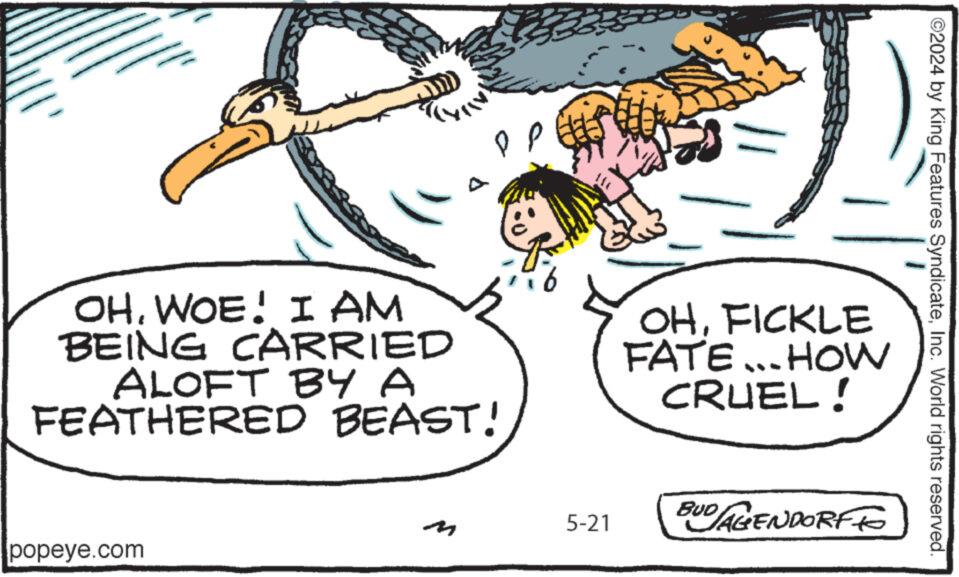 Drawing OCR: ©2024 by King Features SyndicateInc. World rights reserved. OHWOE! I AM BEING CARRIED ALOFT BY A FEATHERED BEAST! OHFICKLE FATE...HOW CRUEL! popeye.com m 5-21 BUD AGENDORFFO © 2024 by King Features SyndicateInc. World rights reserved . OHWOE ! I AM BEING CARRIED ALOFT BY A FEATHERED BEAST ! OHFICKLE FATE ... HOW CRUEL ! popeye.com m 5-21 BUD AGENDORFFO