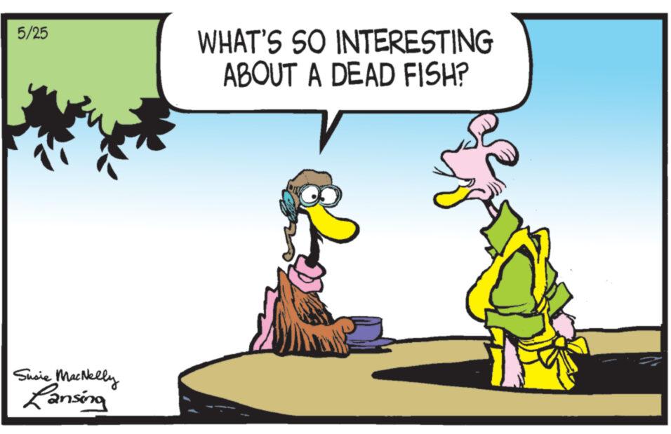 Adaptation OCR: 5/25 Susie MacNelly Lansing WHAT'S SO INTERESTING ABOUT A DEAD FISH? V 5/25 Susie MacNelly Lansing WHAT'S SO INTERESTING ABOUT A DEAD FISH ? V