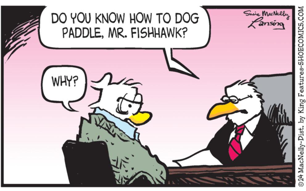 Rectangle OCR: DO YOU KNOW HOW TO DOG PADDLEMR. FISHHAWK? WHY? VINU Susie MacNelly Lansing ©24 MacNelly-Dist. by King Features-SHOECOMICS.COM DO YOU KNOW HOW TO DOG PADDLEMR . FISHHAWK ? WHY ? VINU Susie MacNelly Lansing © 24 MacNelly - Dist . by King Features-SHOECOMICS.COM