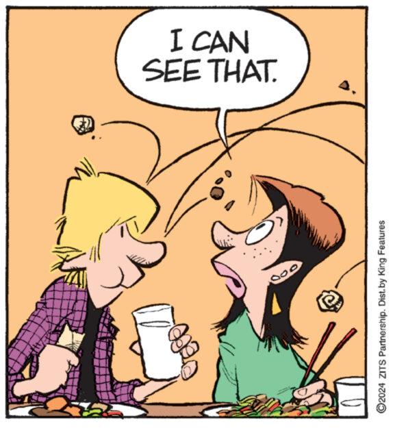 Rectangle OCR: SEE THAT. I CAN 020 ©2024 ZITS Partnership. Dist. by King Features SEE THAT . I CAN 020 © 2024 ZITS Partnership . Dist . by King Features