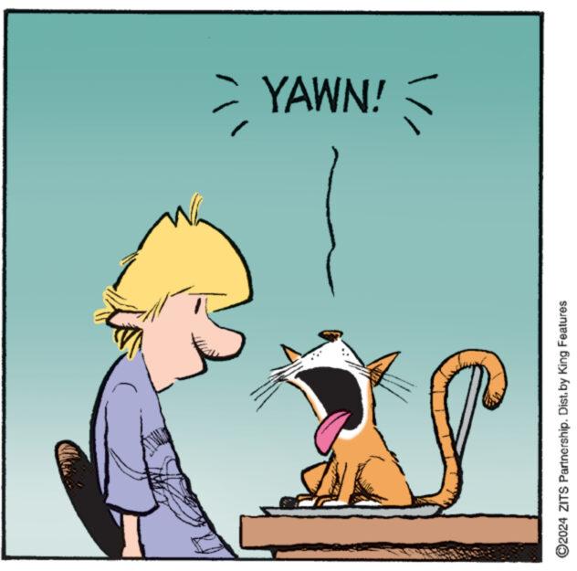 Pleased OCR: YAWN! ©2024 ZITS Partnership. Dist. by King Features YAWN ! © 2024 ZITS Partnership . Dist . by King Features