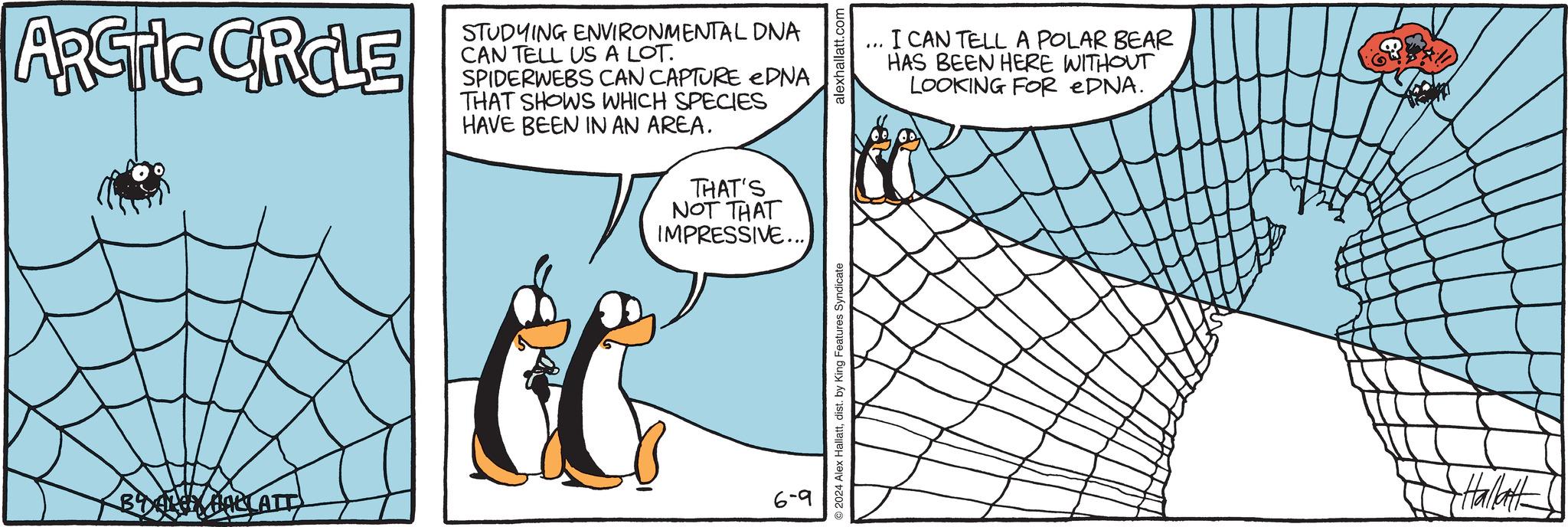 Sharing OCR: ARCTIC CRCLE STUDYING ENVIRONMENTAL DNA CAN TELL US A LOT. SPIDERWEBS CAN CAPTURE EDNA THAT SHOWS WHICH SPECIES HAVE BEEN IN AN AREA. THAT'S NOT THAT IMPRESSIVE...) BURLEY HALLATT 6-9 2024 Alex Hallattdist. by King Features Syndicate alexhallatt.com "" I CAN TELL A POLAR BEAR HAS BEEN HERE WITHOUT LOOKING FOR eDNA. Hallatt ARCTIC CRCLE STUDYING ENVIRONMENTAL DNA CAN TELL US A LOT . SPIDERWEBS CAN CAPTURE EDNA THAT SHOWS WHICH SPECIES HAVE BEEN IN AN AREA . THAT'S NOT THAT IMPRESSIVE ... ) BURLEY HALLATT 6-9 2024 Alex Hallattdist . by King Features Syndicate alexhallatt.com " " I CAN TELL A POLAR BEAR HAS BEEN HERE WITHOUT LOOKING FOR eDNA . Hallatt