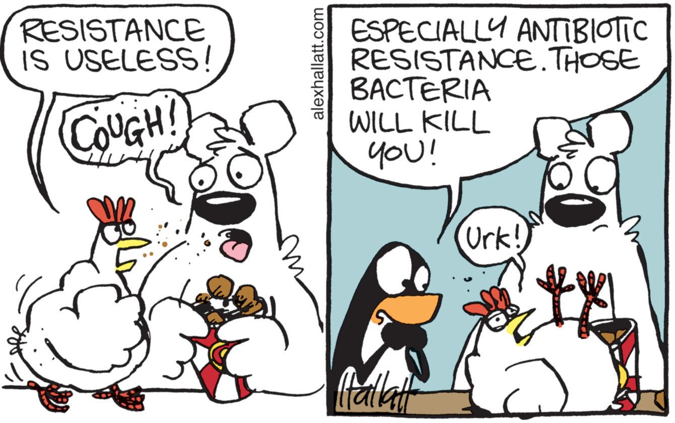 Happy OCR: RESISTANCE IS USELESS! COUGH! alexhallatt.com ESPECIALLY ANTIBIOTIC RESISTANCE. THOSE BACTERIA WILL KILL you! Urk! lallalit RESISTANCE IS USELESS ! COUGH ! alexhallatt.com ESPECIALLY ANTIBIOTIC RESISTANCE . THOSE BACTERIA WILL KILL you ! Urk ! lallalit