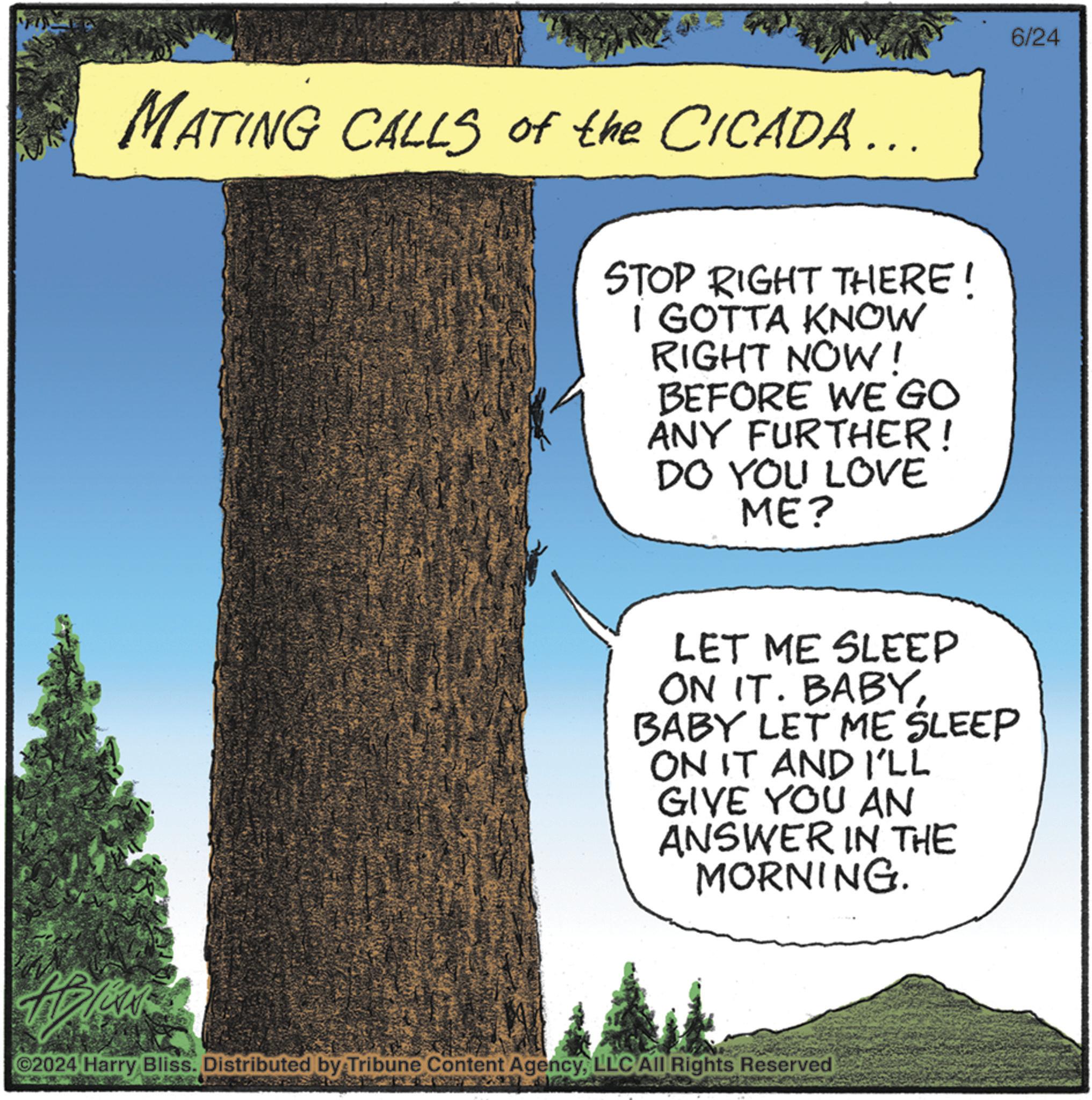 Art OCR: MATING CALLS of the CICADA... STOP RIGHT THERE! I GOTTA KNOW RIGHT NOW! BEFORE WE GO ANY FURTHER! DO YOU LOVE ME? LET ME SLEEP ON IT. BABYBABY LET ME SLEEP ON IT AND I'LL GIVE YOU AN ANSWER IN THE MORNING. ©2024 Harry Bliss. Distributed by Tribune Content AgencyLLC All Rights Reserved 6/24 MATING CALLS of the CICADA ... STOP RIGHT THERE ! I GOTTA KNOW RIGHT NOW ! BEFORE WE GO ANY FURTHER ! DO YOU LOVE ME ? LET ME SLEEP ON IT . BABYBABY LET ME SLEEP ON IT AND I'LL GIVE YOU AN ANSWER IN THE MORNING . © 2024 Harry Bliss . Distributed by Tribune Content AgencyLLC All Rights Reserved 6/24