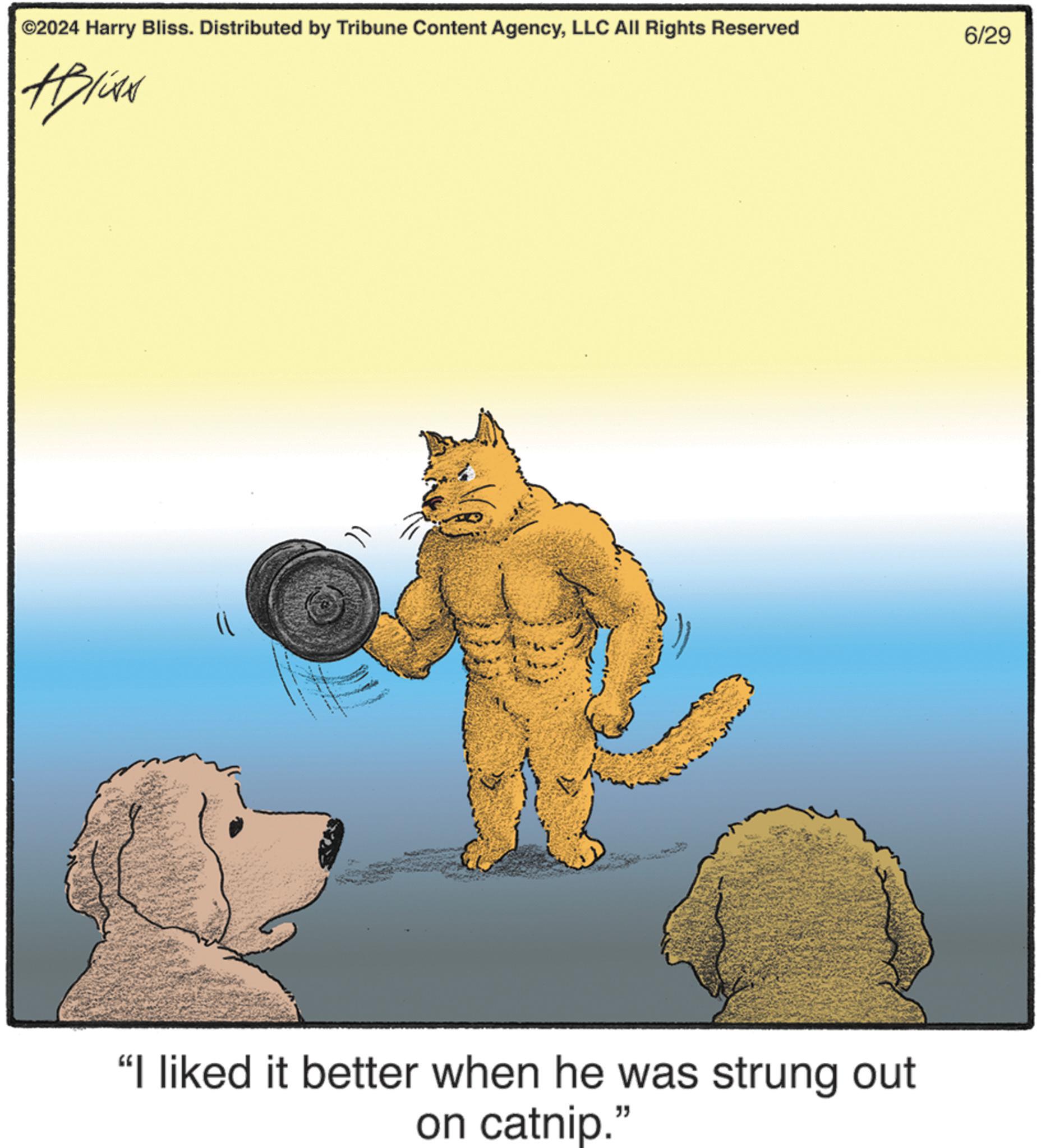 Bear OCR: ©2024 Harry Bliss. Distributed by Tribune Content AgencyLLC All Rights Reserved 6/29 #Blixx "I liked it better when he was strung out on catnip." © 2024 Harry Bliss . Distributed by Tribune Content AgencyLLC All Rights Reserved 6/29 #Blixx " I liked it better when he was strung out on catnip . "
