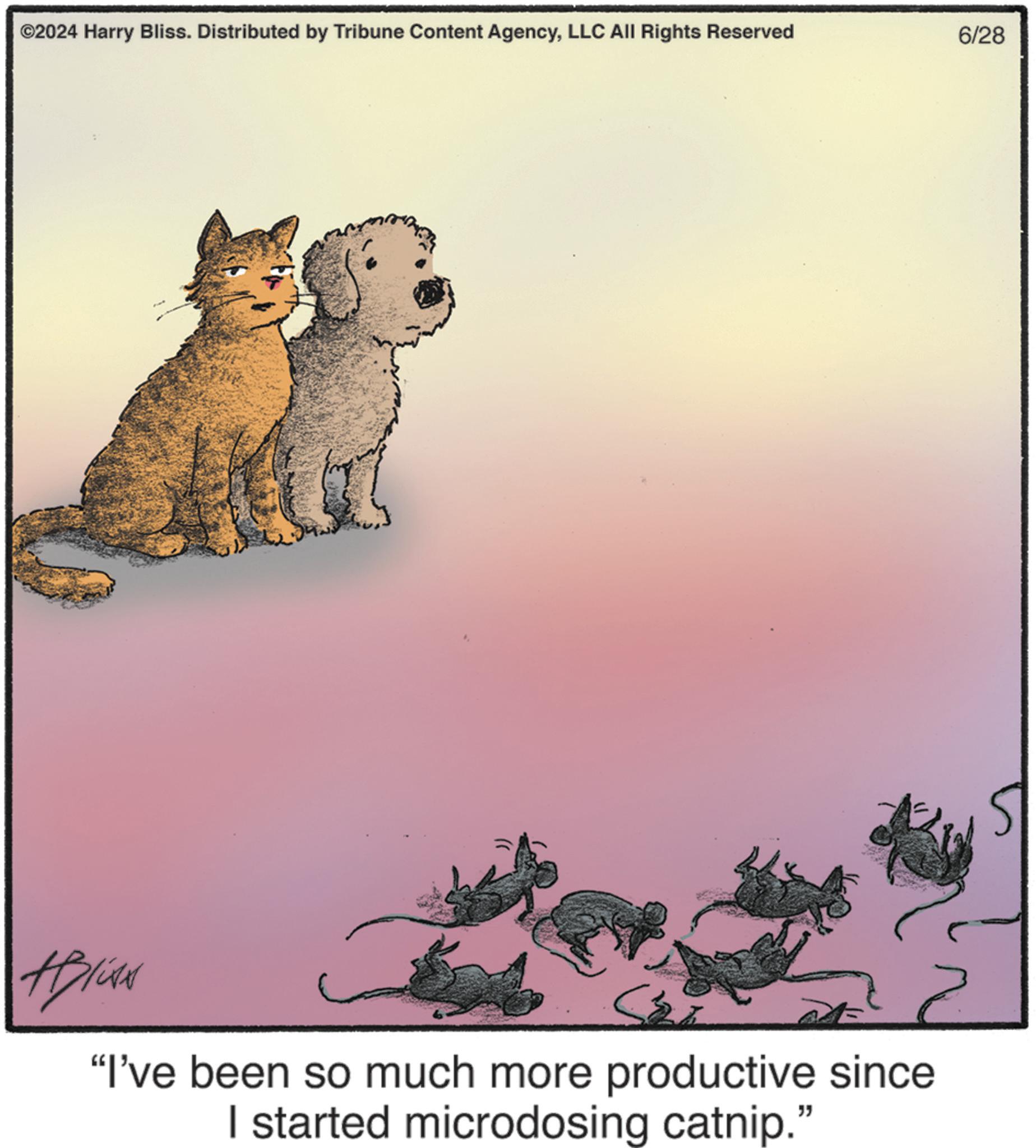 Big cats OCR: ©2024 Harry Bliss. Distributed by Tribune Content AgencyLLC All Rights Reserved #Bliss "I've been so much more productive since I started microdosing catnip." 6/28 5 © 2024 Harry Bliss . Distributed by Tribune Content AgencyLLC All Rights Reserved #Bliss " I've been so much more productive since I started microdosing catnip . " 6/28 5