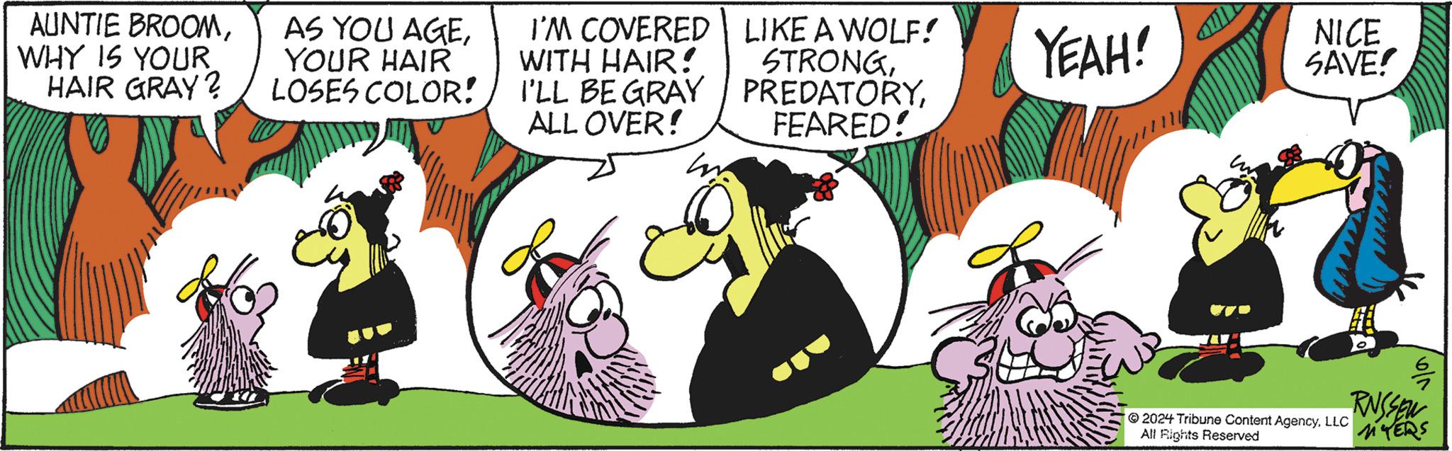 Fictional character OCR: AUNTIE BROOMWHY IS YOUR HAIR GRAY? AS YOU AGEYOUR HAIR LOSES COLOR! I'M COVERED LIKE A WOLF! WITH HAIR! I'LL BE GRAY ALL OVER! STRONGFEARED! YEAH! NICE SAVE! // 2024 Tribune Content AgencyLLC All Rights Reserved RNSSEN MYERS AUNTIE BROOMWHY IS YOUR HAIR GRAY ? AS YOU AGEYOUR HAIR LOSES COLOR ! I'M COVERED LIKE A WOLF ! WITH HAIR ! I'LL BE GRAY ALL OVER ! STRONGFEARED ! YEAH ! NICE SAVE ! // 2024 Tribune Content AgencyLLC All Rights Reserved RNSSEN MYERS